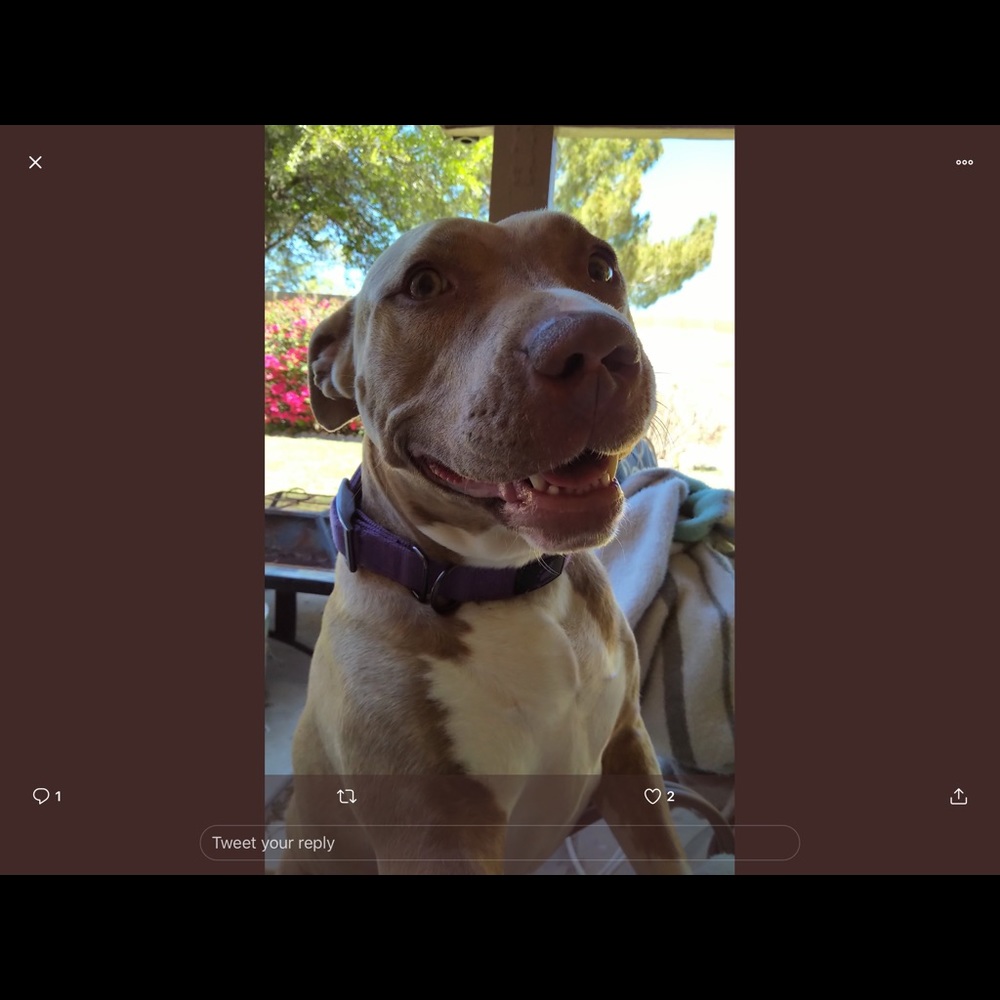 Meet your Posher, Veronica